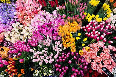 《小小自动骑士》Steam页面上线 支持简体中文